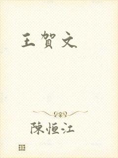 王贺文封面