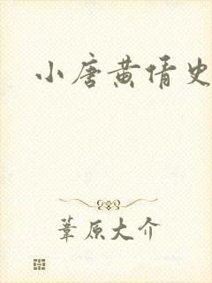 小唐黄倩史
