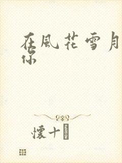 在风花雪月里等你