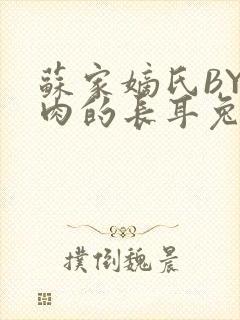 苏家嫡氏BY吃肉的长耳兔