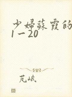 少妇苏霞的沉沦1一20