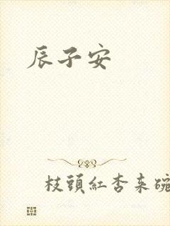 辰子安封面