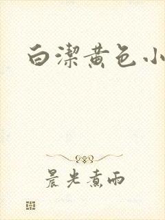 白洁黄色小说