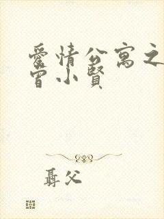 爱情公寓之极品曾小贤