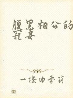 腹黑相公的庶女宠妻