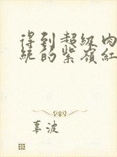 得到超级肉禽系统的紫岭红山