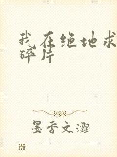 我在绝地求生捡碎片