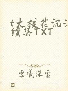 t大校花沉浮录续集TXT
