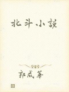 北斗小说封面