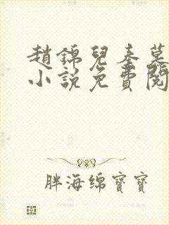 赵锦儿秦慕修的小说免费阅读全文封面