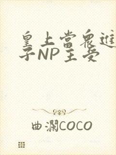 皇上当众进入太子NP主受