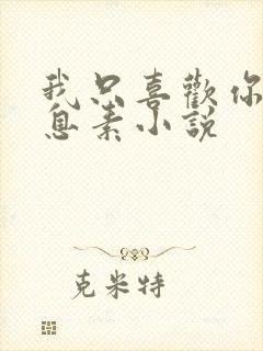 我只喜欢你的信息素小说封面