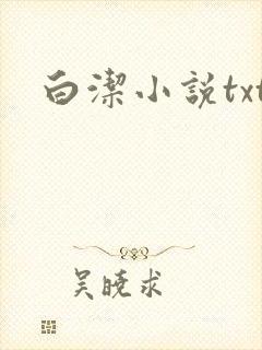 白洁小说txt