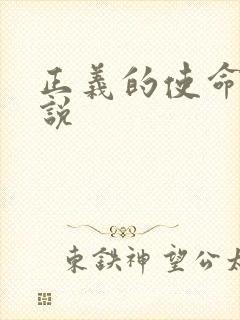 正义的使命 小说封面