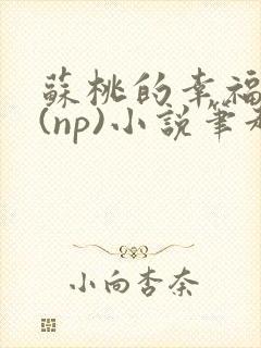 苏桃的幸福生活(np)小说笔趣阁沐沐