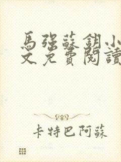 马强苏钥小说全文免费阅读最新章节