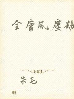 金庸风尘劫