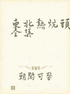 东北热炕头小说全集封面