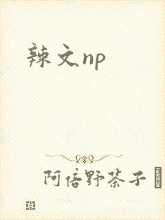 辣文np封面