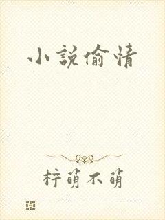 小说偷情