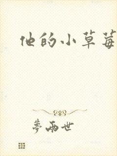 他的小草莓