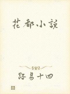 花都小说封面