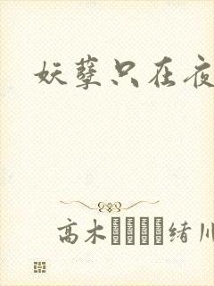 妖孽只在夜里哭封面