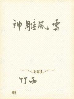 神雕风云