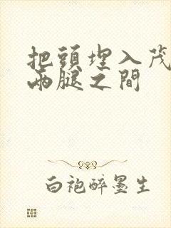 把头埋入茂密的两腿之间封面