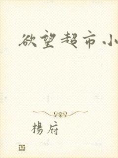 欲望超市小说封面