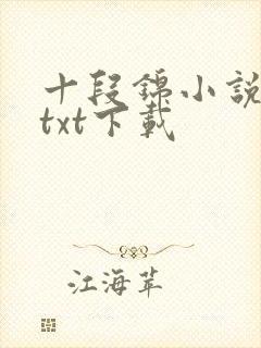 十段锦小说全本txt下载封面