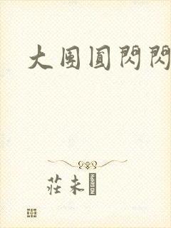 大团圆闪闪发光封面