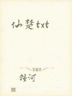 仙楚txt封面
