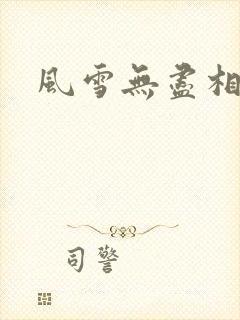 风雪无尽相思情封面