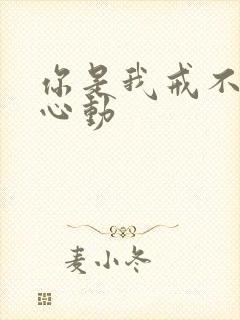 你是我戒不掉的心动