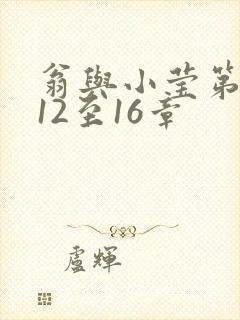 翁与小莹第十部12至16章