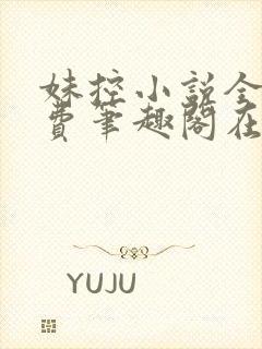 妹控小说全文免费笔趣阁在线阅读