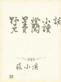 野星灯小说全文免费阅读