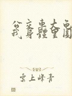 公交车大龟廷进我身体里图封面