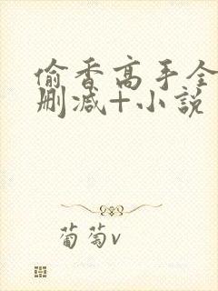 偷香高手全文无删减+小说