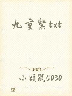 九重紫txt封面