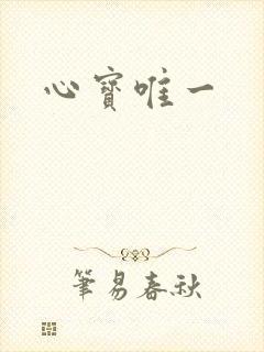 心宝唯一