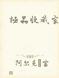 极品收藏家封面