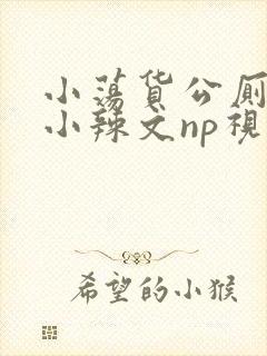 小荡货公厕h文小辣文np视频