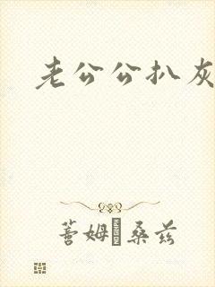 老公公扒灰小说封面