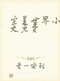 完美世界小说全文免费封面