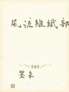 风流组织部长封面