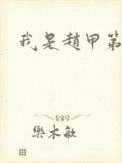 我是赵甲第小说