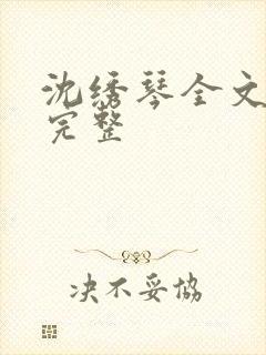 沈绣琴全文阅读完整