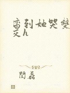 脔到她哭双根宫交h封面